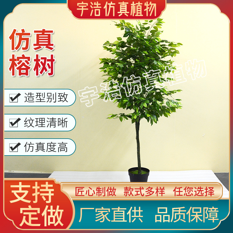 家中摆放仿真植物有什么讲究？